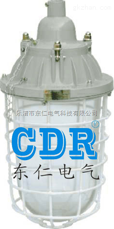 BAD61:bad55,bad55-L150防爆工廠燈 立桿防爆燈-產品報價-樂清市東仁電氣科技