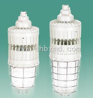 BAD92系列隔爆型防爆燈(IIC) | 樂清威創(chuàng)防爆科技防爆燈詳解