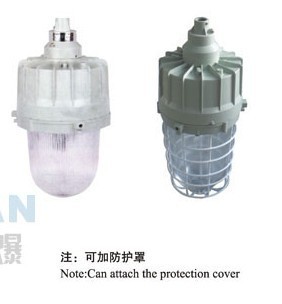 粉塵防爆燈產品解析 功率、外形尺寸與選購指南